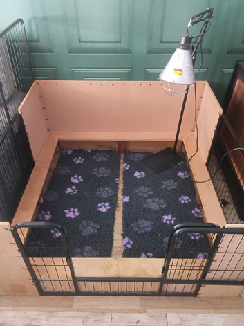 Welping box