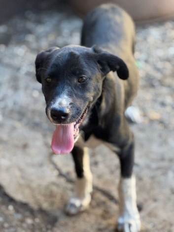 MAYA &ndash; The Little Heart Waiting to Feel Safe