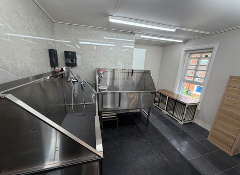 Dog grooming Salon Exeter  - pick up available