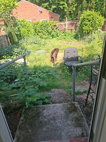 To rehome