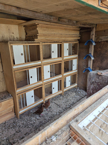 Boxes