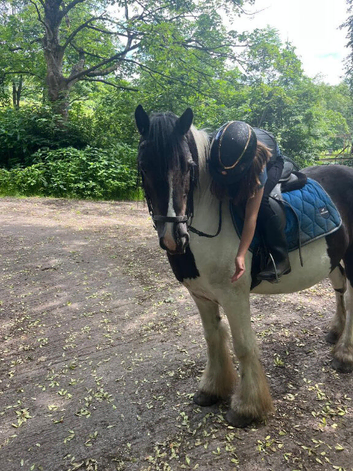 Part Loan Available - 13.2hh Pony &pound;80 per month
