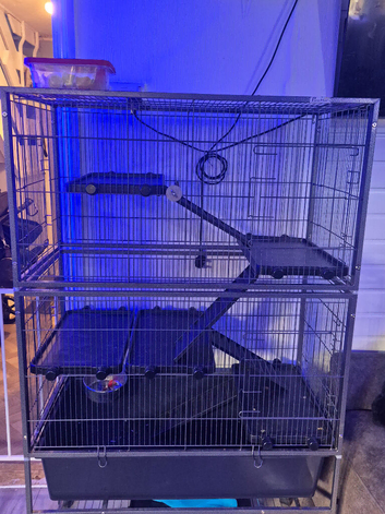Rodent cage