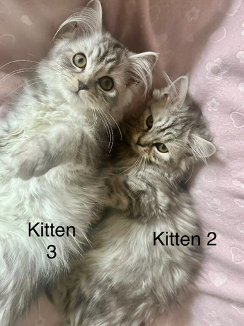 2  Left..