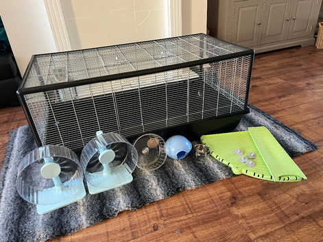Brand new Savic plaza 120 hamster and mouse cage with accessories
