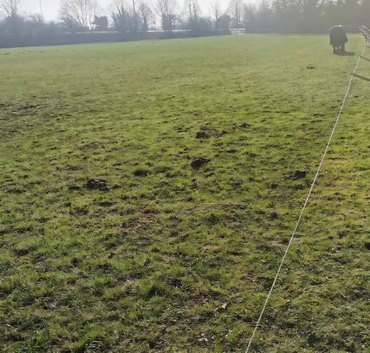 Grazing field wanted ng10
