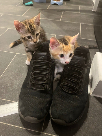 2 beautiful sisters