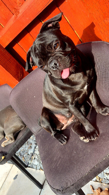 Frug 8 months