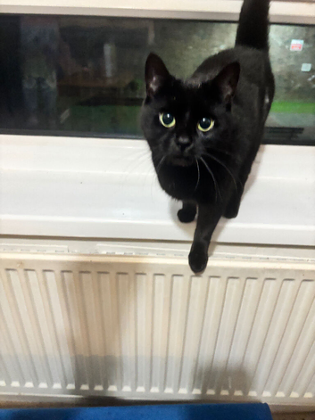 Female 1 years old