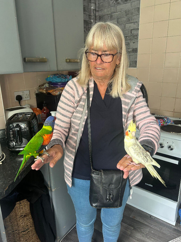 fully tammed and talking rainbow lorakeet