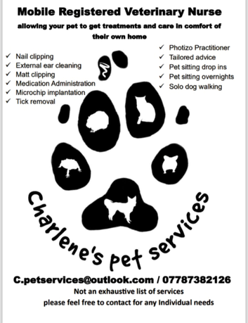 Pet services including microchips