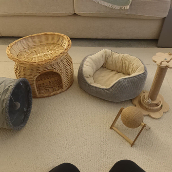Cat beds and toys