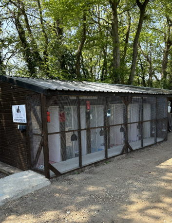 Paces & Paws - Offering Cattery & Pet Services.