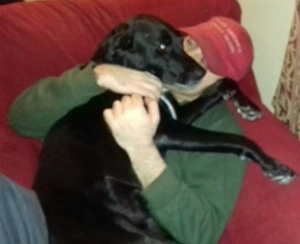 Pet Sitting