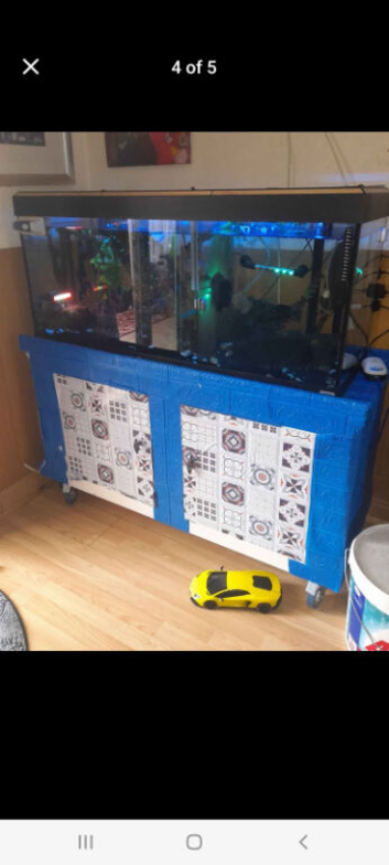 Fish tank and fish