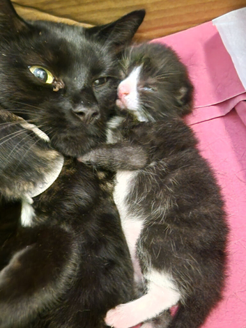 Beautiful Mum and Baby