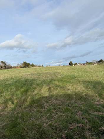 DIY Grazing