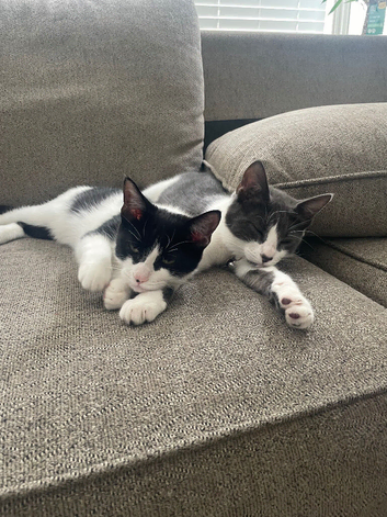 2 beautiful sisters