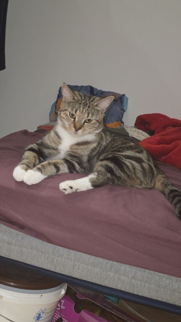Looking for a forever home for this 6 months old