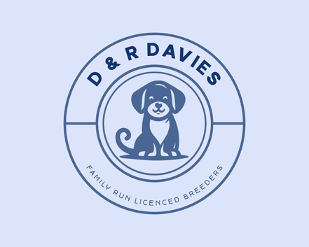 Dog Enrichment Assistant