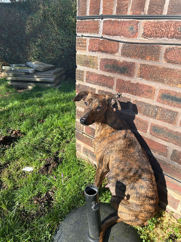 Mum and daughter