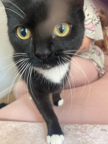 Beautiful 6 month old girl
