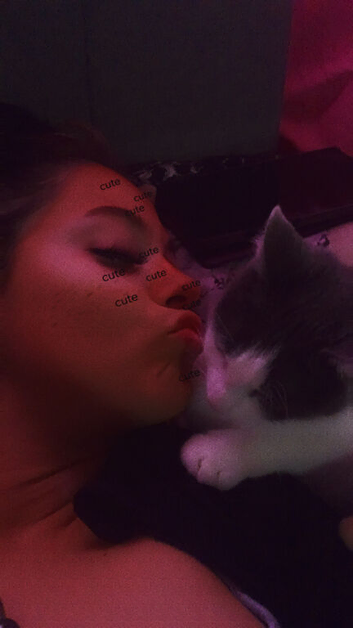 Cat for sale