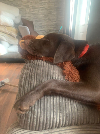 Chocolate boy