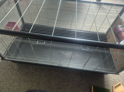 Big Hamster cage set up