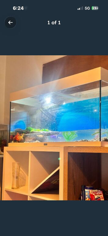 Fish tank
