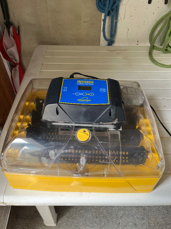 Brinsea ovation 28 advanced incubator