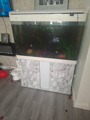 2 axlottil boys