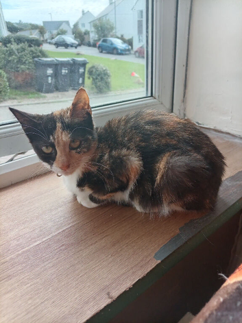 Pretty little girl