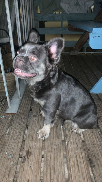 meet pinky