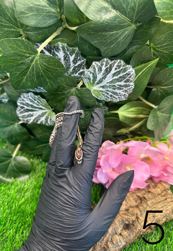 Baby Cornsnakes CB26