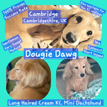 DOUG IS AN AMAZING L/H STUD 100% SUCCESS