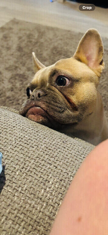 10month old girl