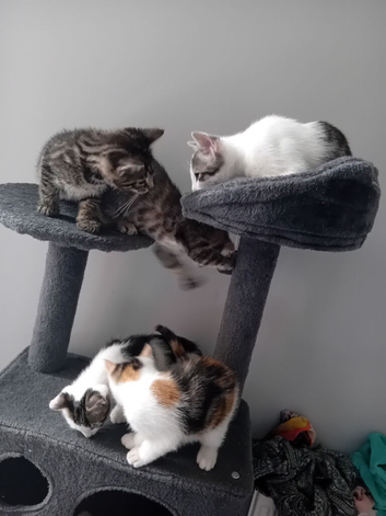 3 boys 2 girls