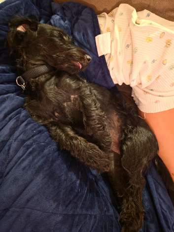 Doxiepoo