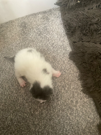 Will be looking for new homes