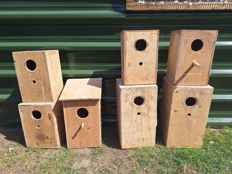 Nest boxes x 7 Cockatiel, Parakeet, Parrot Conure