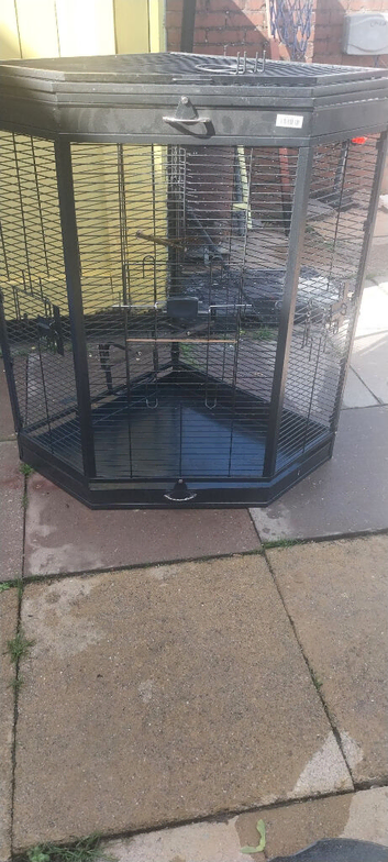Large Bird cage