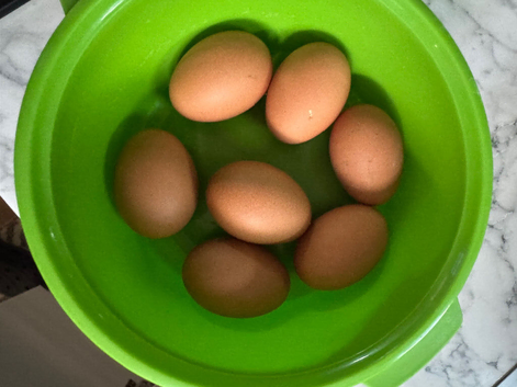 Mixed hatching eggs