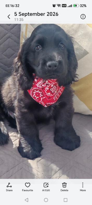 My last handsome boy