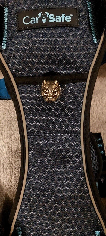 New personalized, unique harness (size L)