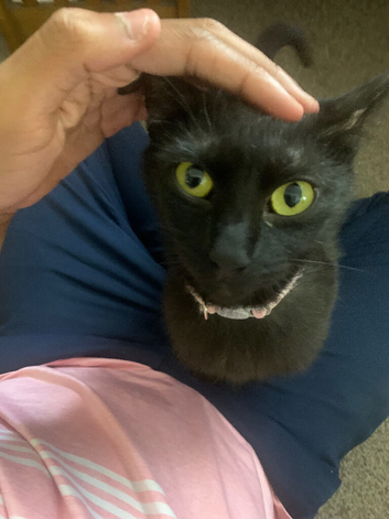 female 2 years old