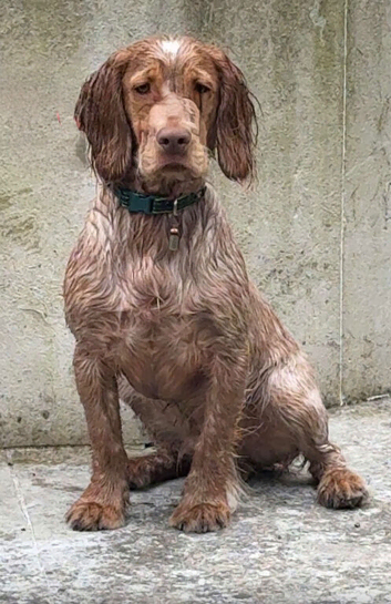 6 months old