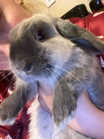 Buster