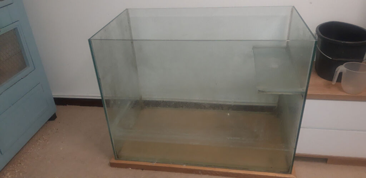 Turtle, Terrapin or Fish Tank