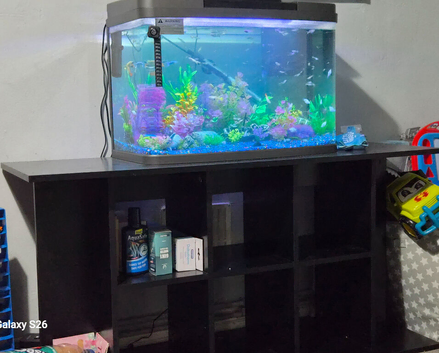64l tank and stand starter tank  read description